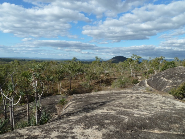 20120808-202736.jpg